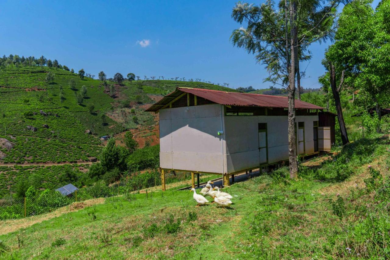 Long Walk With Breakfast Included, Pet Friendly At Ooty By Stayvista Coonoor Exterior foto